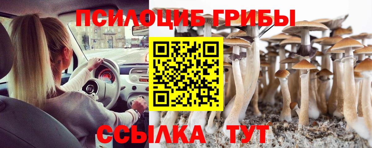 Галлюциногенные грибы Psilocybe  Вход с VPN  Ржев 